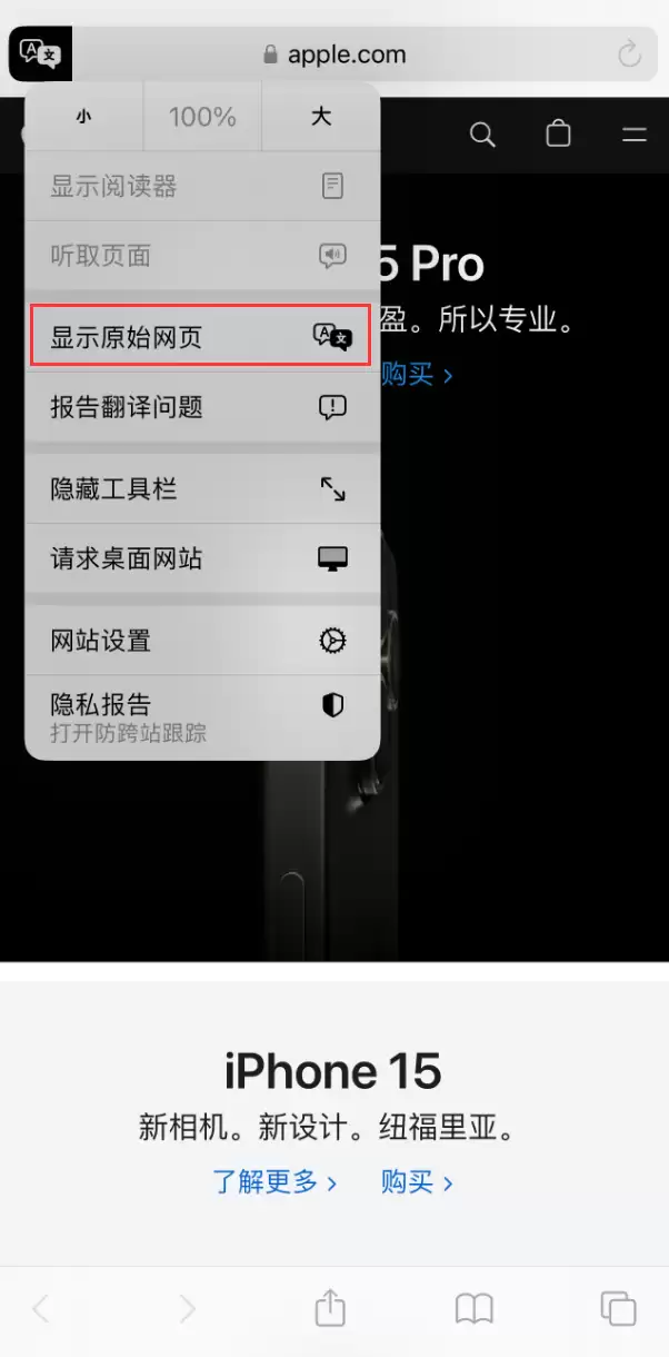 在 iPhone 上使用 Safari 浏览器翻译网页:可设置多种翻译语言 在 iPhone 上使用 Safari 浏览器翻译网页:可设置多种翻译语言
