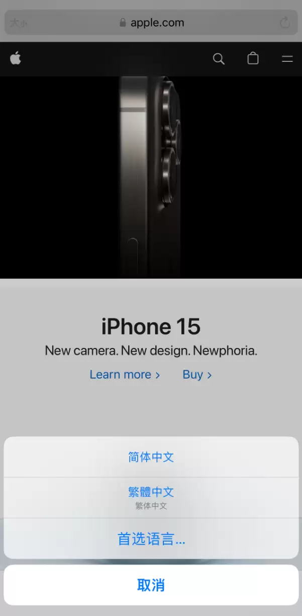 在 iPhone 上使用 Safari 浏览器翻译网页:可设置多种翻译语言 在 iPhone 上使用 Safari 浏览器翻译网页:可设置多种翻译语言