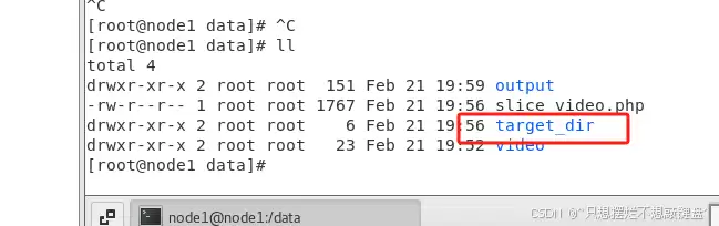 PHP调用FFmpeg实现视频切片