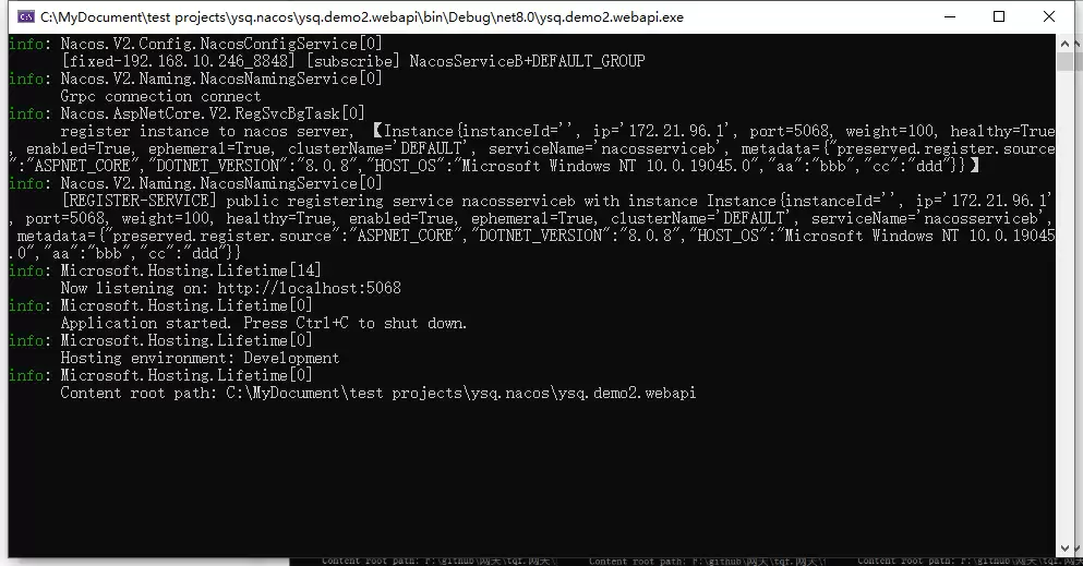 .net core如何使用Nacos注册中心