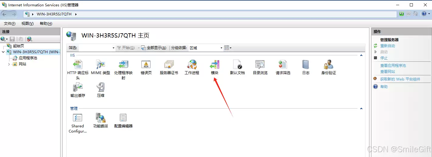 .Net8 WebAPI项目创建部署的实现