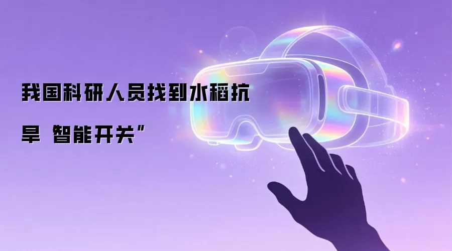 我国科研人员找到水稻抗旱“智能开关”
