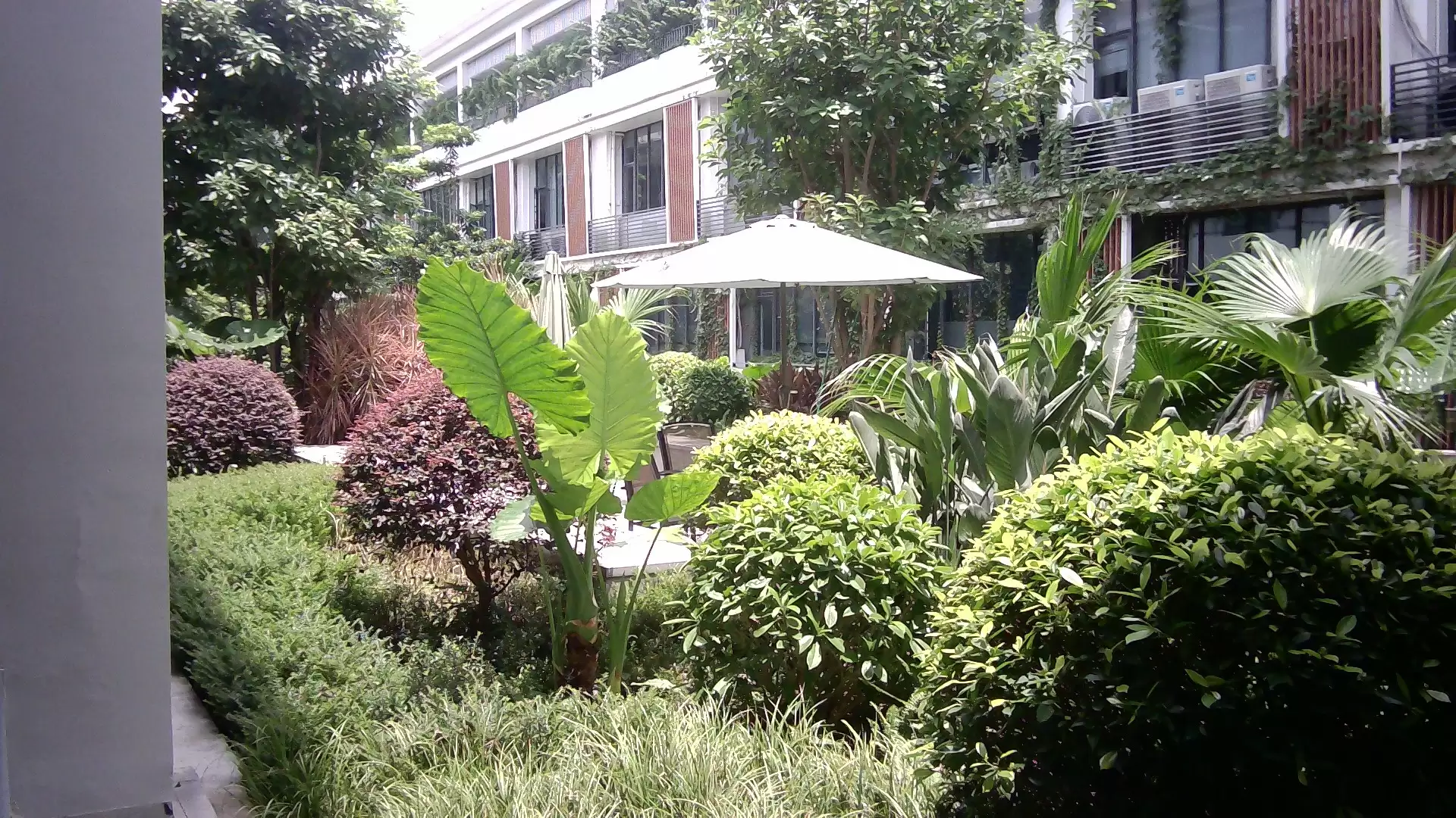 PICT100_0028.jpg