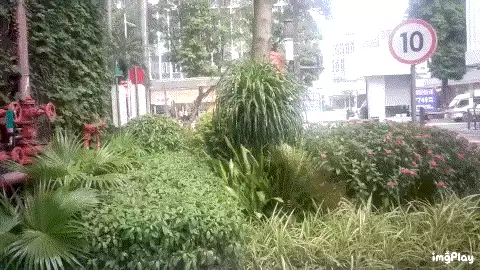 IMG_a3yryb.gif