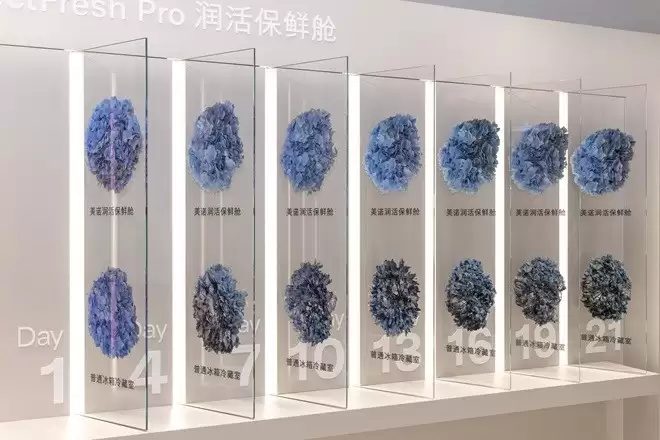1784900404164948.jpg 图片4.jpg