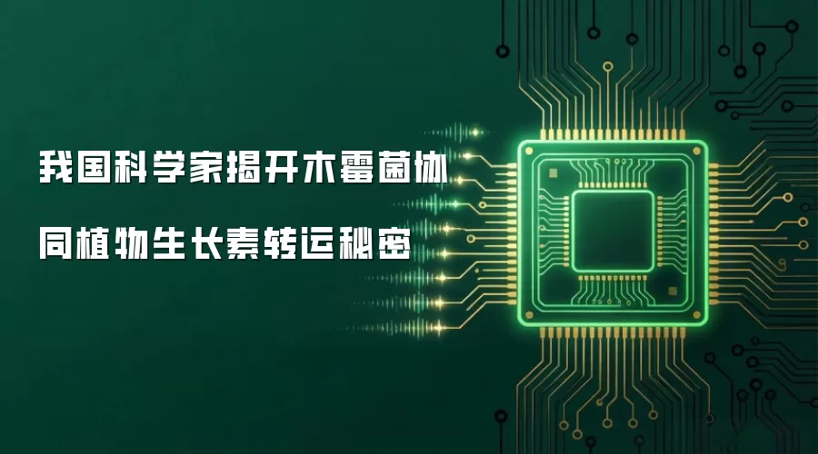 我国科学家揭开木霉菌协同植物生长素转运秘密