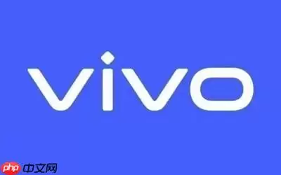 vivo S2印度版预计将于8月发售 具体配置仍然成谜