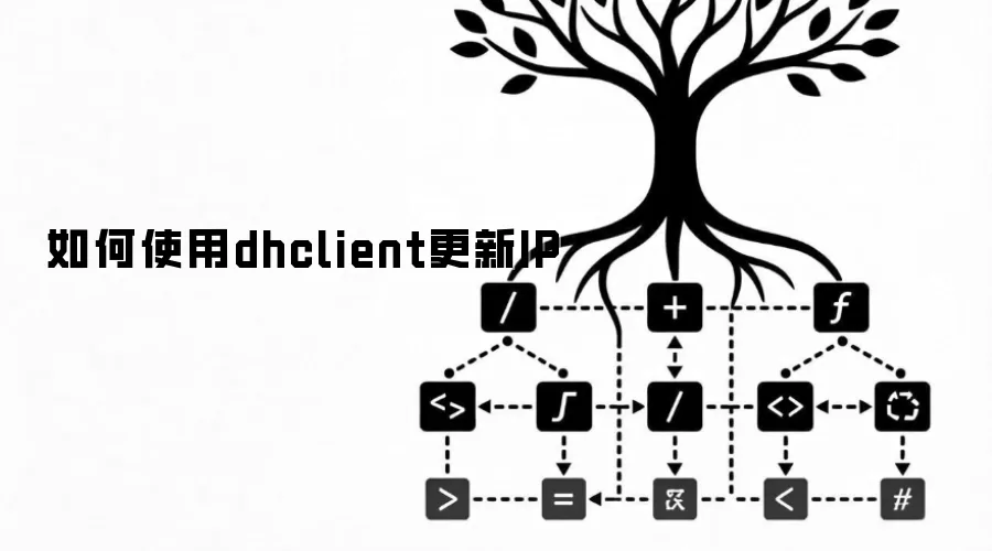 如何使用dhclient更新IP