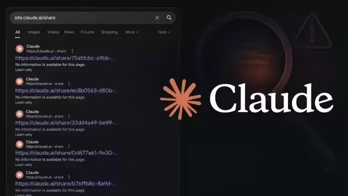 谷歌意外收录Claude对话链接，法律策略与私人聊天内容“裸奔”，AI隐私再遭拷问