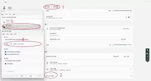 oopz麦克风没声音怎么办