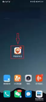 平安好车主app怎么交车船税