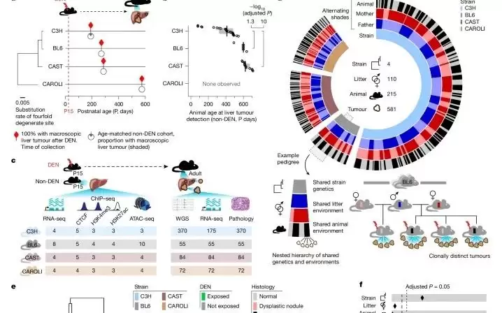 动物癌症“同因不同果”有了科学解释
