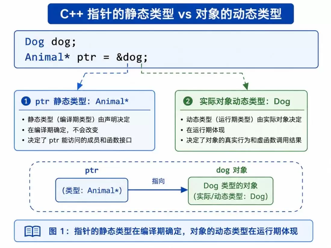 C++多态底层原理解析:静态绑定、动态绑定、虚函数表与工程实践