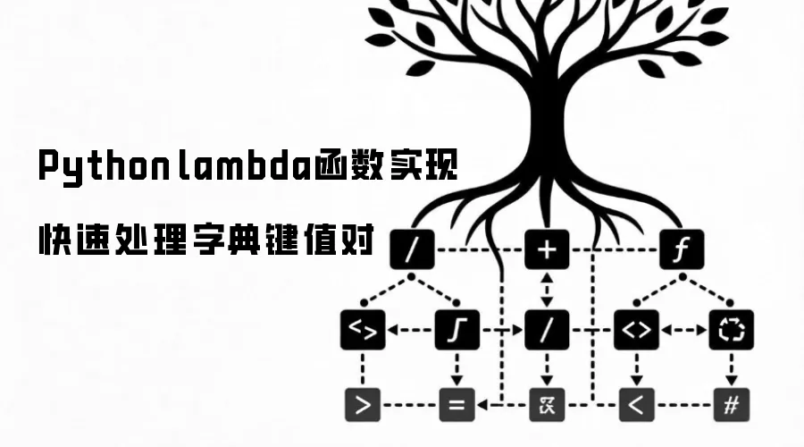 Python lambda函数实现快速处理字典键值对