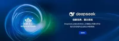 如何使用DeepSeek进行文本分类任务