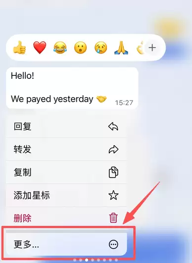 WhatsApp如何翻译对方发来的消息