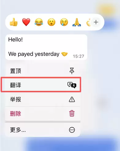 WhatsApp如何翻译对方发来的消息