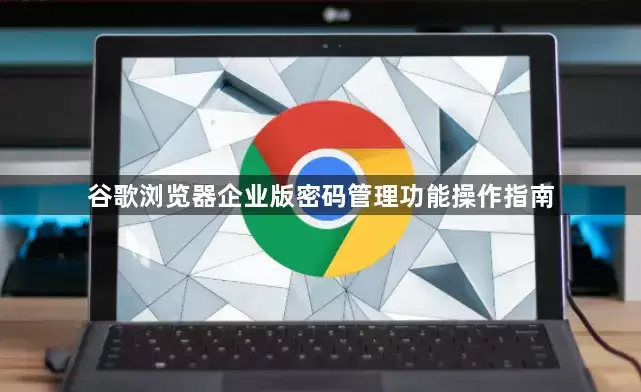 谷歌浏览器企业版密码管理功能操作指南
