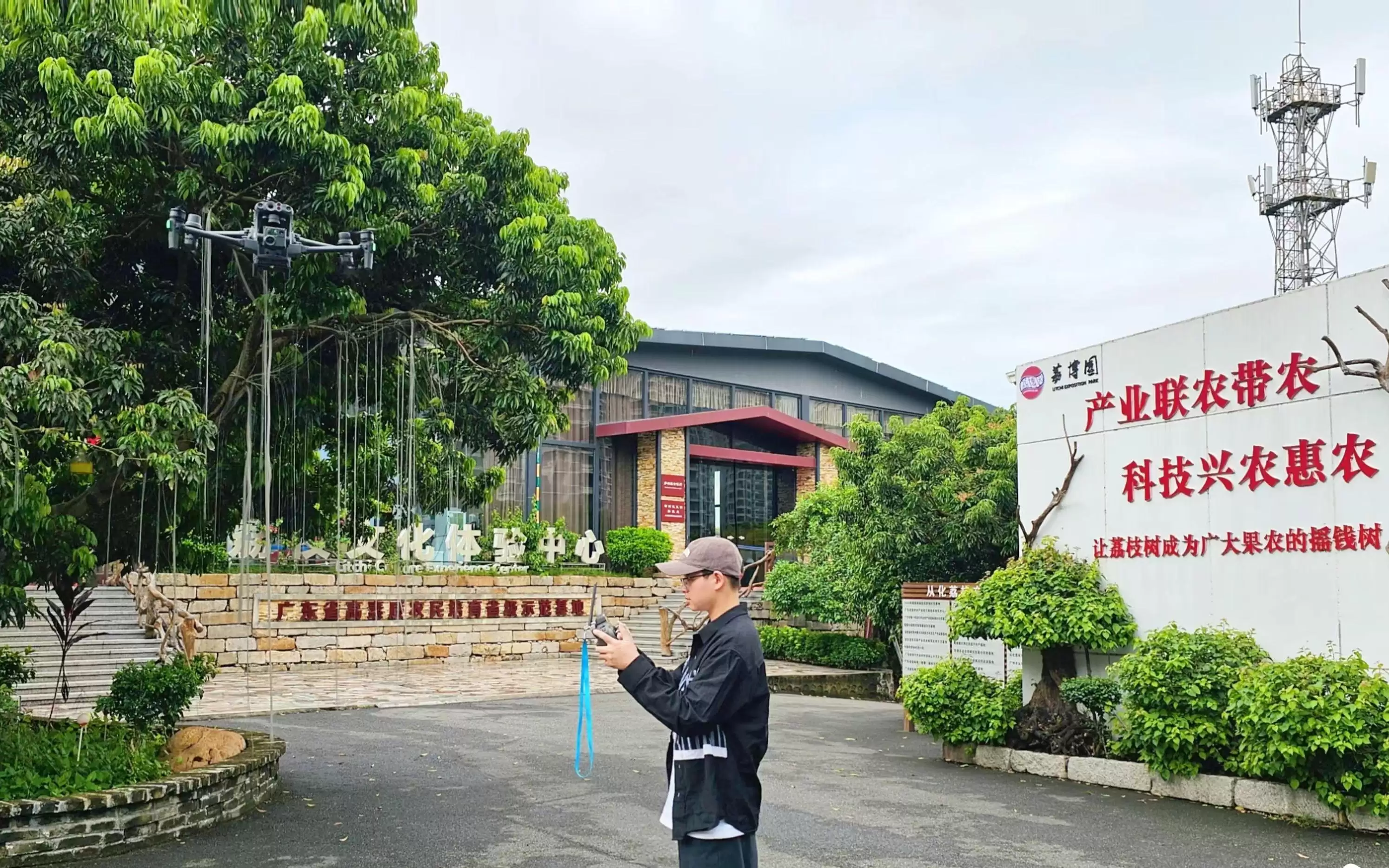 先下乡，再出海！中大师生打造“飞鸟”AI管家激活乡村产业