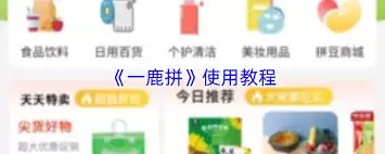 一鹿拼怎么签到