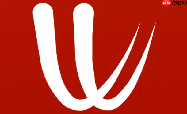 Windy气象怎么切换中文？多语言设置详细步骤