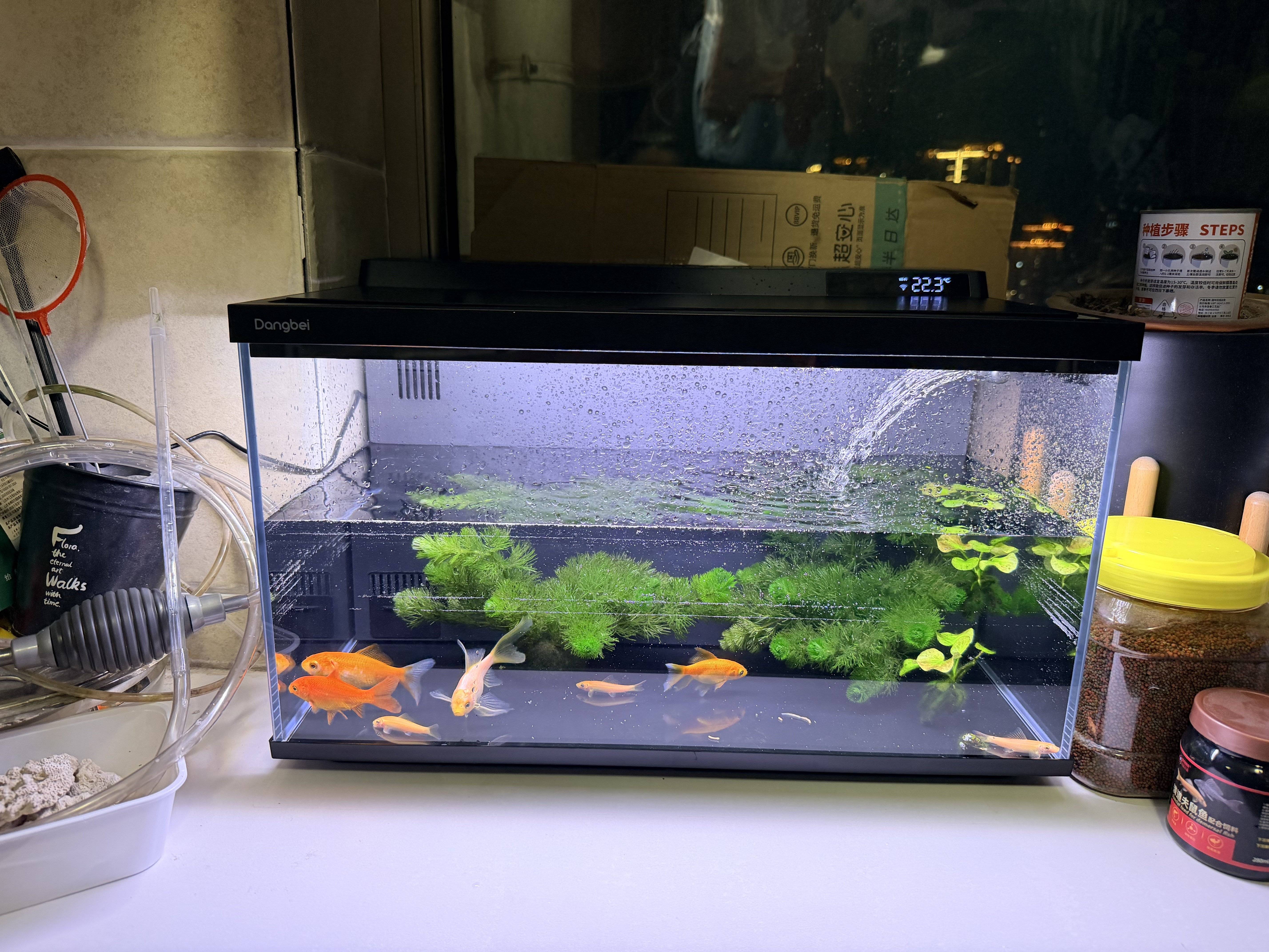 当贝鱼缸实物图 (2).jpg