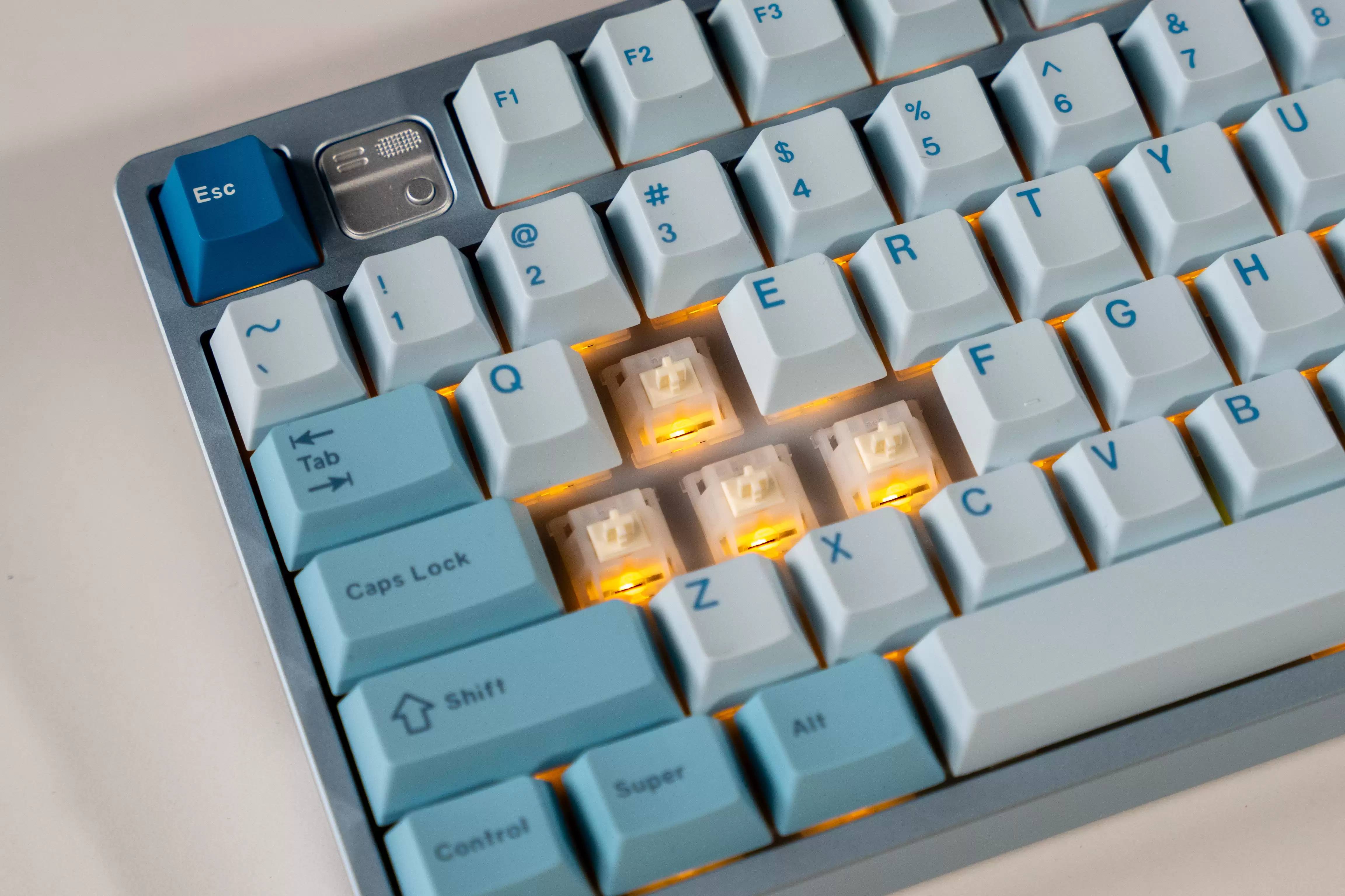 DSC03255.jpg
