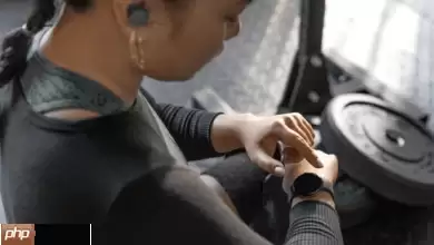 Fitbit AI健康教练登陆 iOS 抢佔果粉市场！助分析健康数据