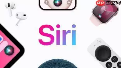隐私神话破灭？Alphabet高层暗示Gemini版Siri将在Google伺服器执行