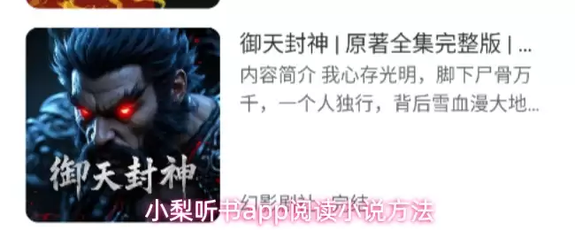 小梨听书app阅读小说方法