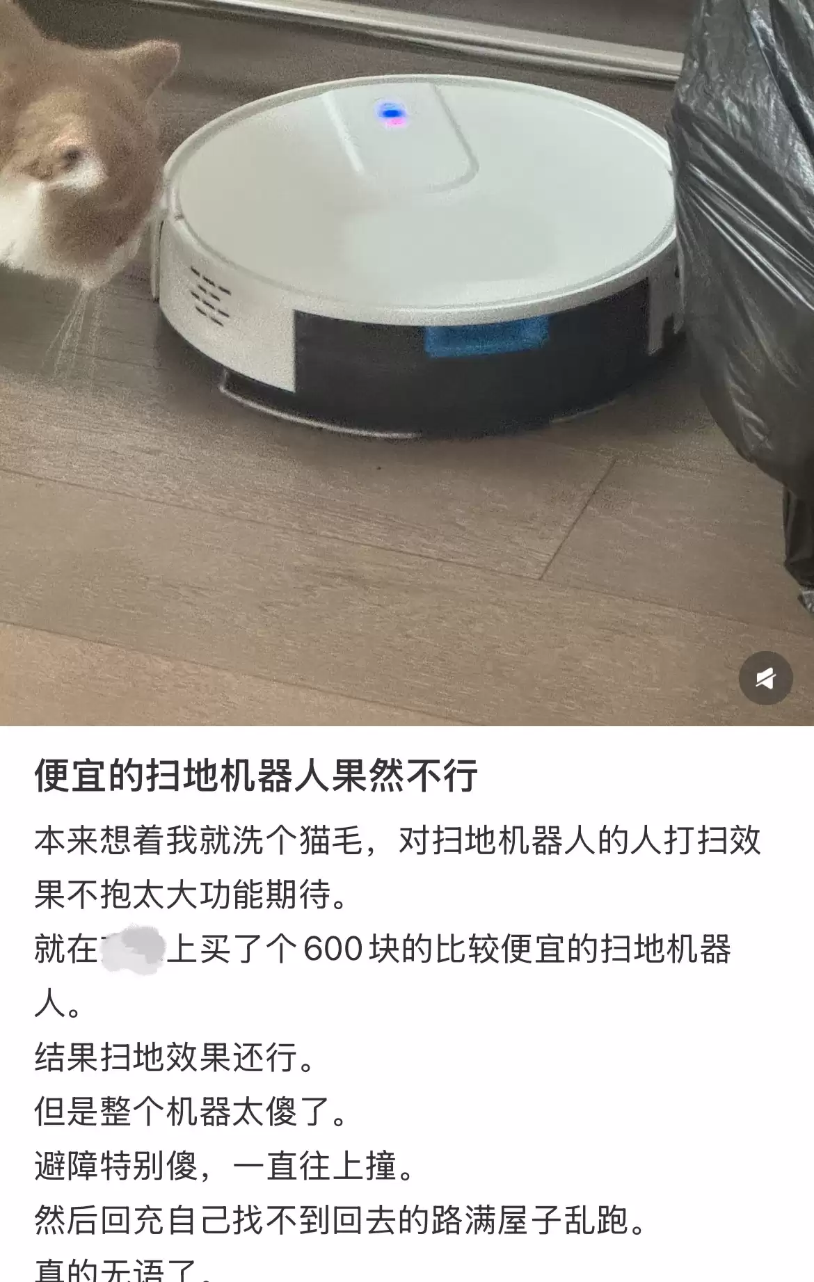 Picsew_20260713193321.JPEG