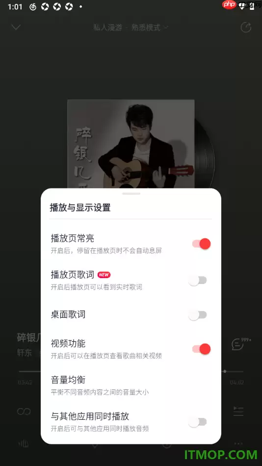网易云音乐手机版设置播放页面常亮显示的方法