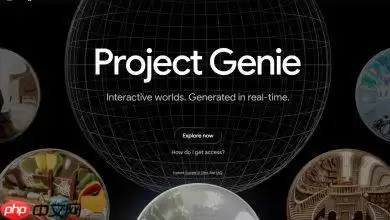 Google DeepMind开放Project Genie测试！「世界模型」技术比李飞飞更厉害？