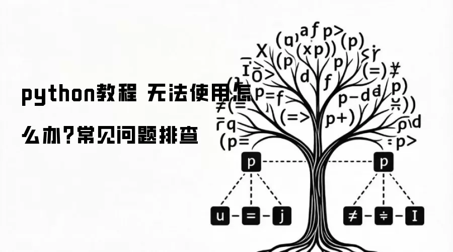 python教程 无法使用怎么办？常见问题排查