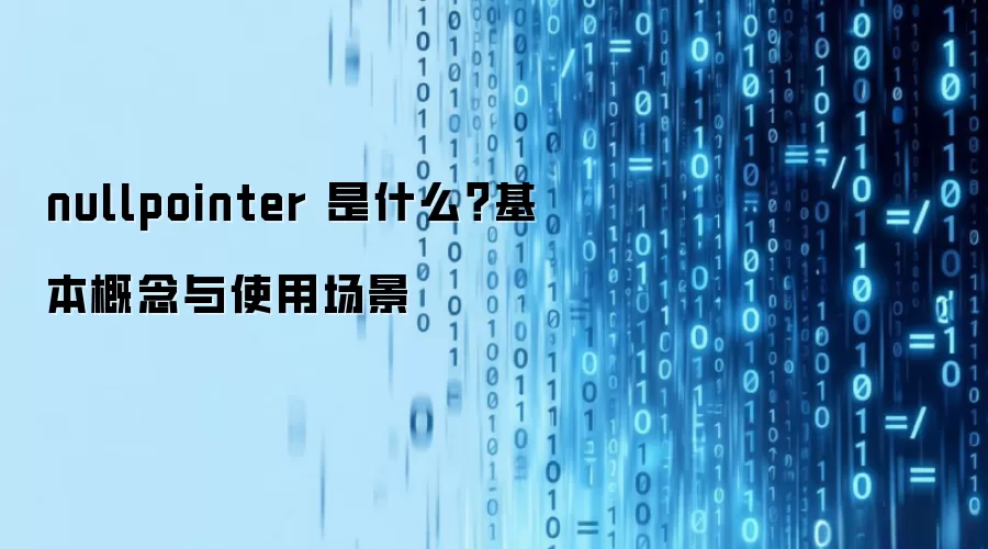 nullpointer 是什么？基本概念与使用场景