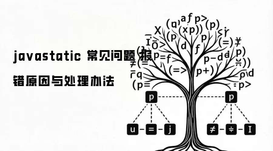 javastatic 常见问题：报错原因与处理办法