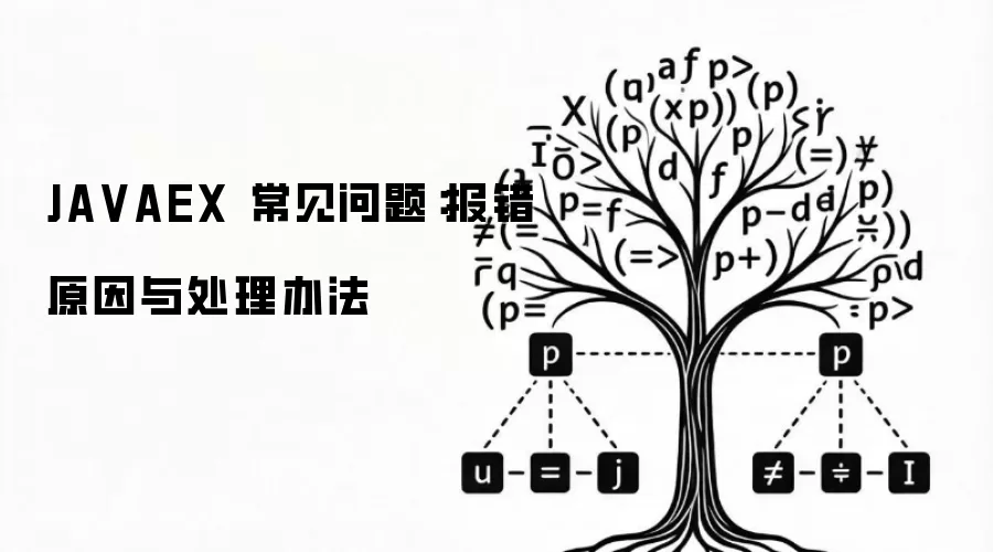 JAVAEX 常见问题：报错原因与处理办法