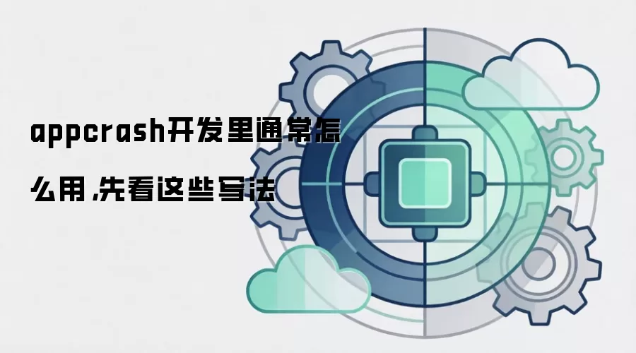 appcrash开发里通常怎么用，先看这些写法