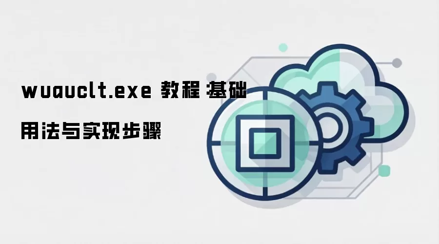 wuauclt.exe 教程：基础用法与实现步骤
