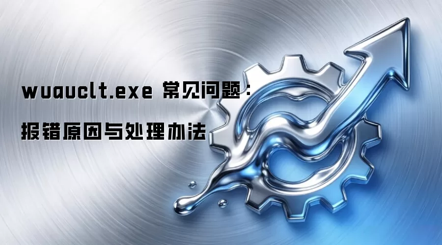 wuauclt.exe 常见问题:报错原因与处理办法