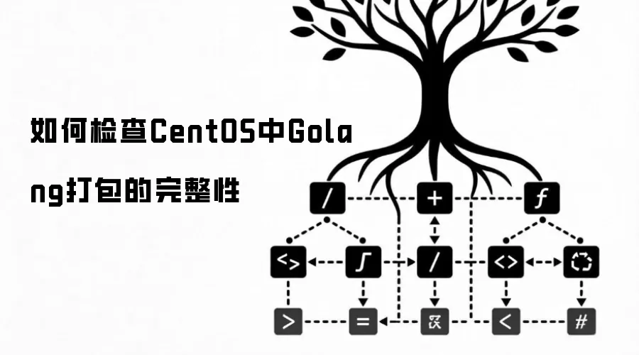 如何检查CentOS中Golang打包的完整性