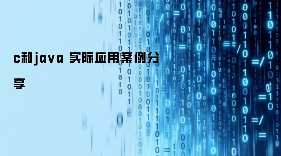 c和java 实际应用案例分享