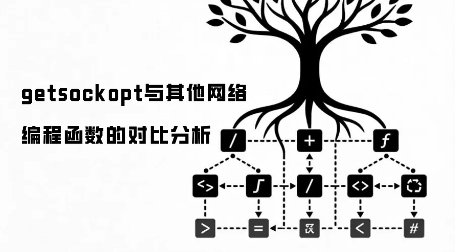 getsockopt与其他网络编程函数的对比分析