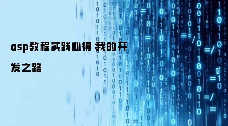 asp教程实践心得：我的开发之路