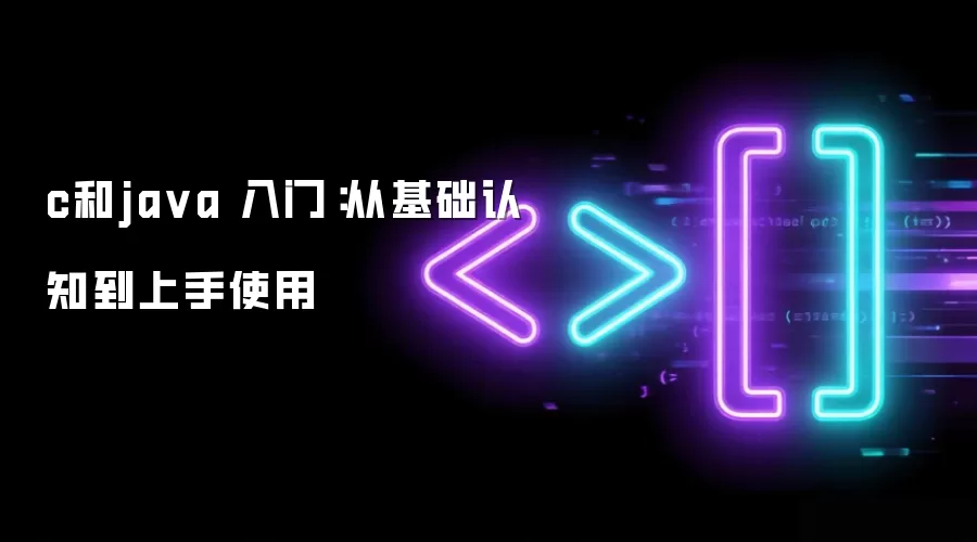 c和java 入门：从基础认知到上手使用