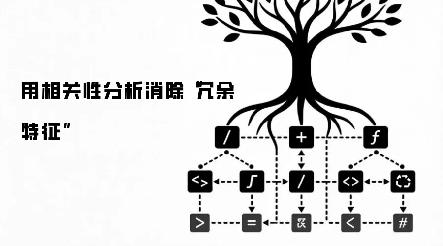 用相关性分析消除“冗余特征”