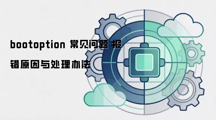 bootoption 常见问题:报错原因与处理办法