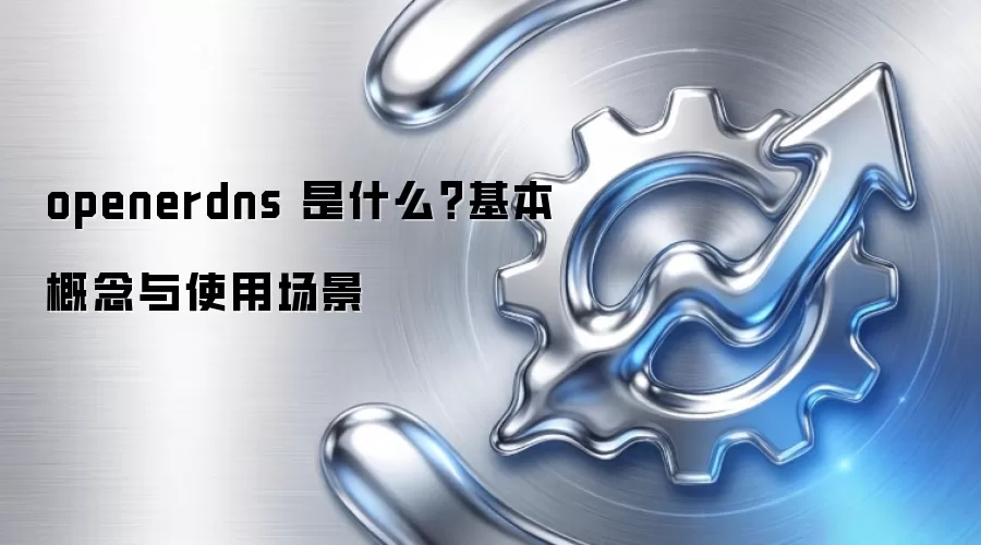 openerdns 是什么?基本概念与使用场景