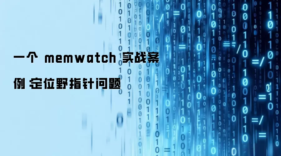 一个 memwatch 实战案例:定位野指针问题