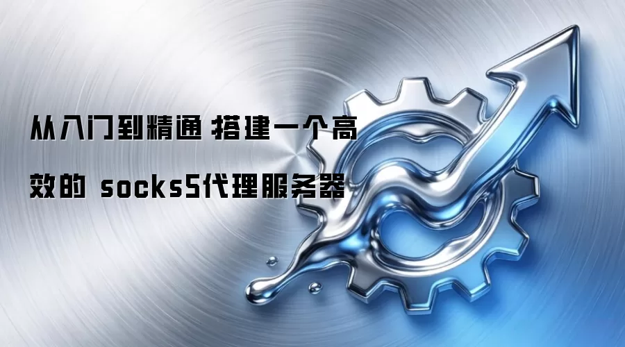 从入门到精通：搭建一个高效的 socks5代理服务器